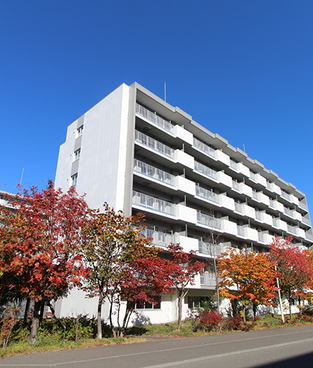 サンラフレ平岸
