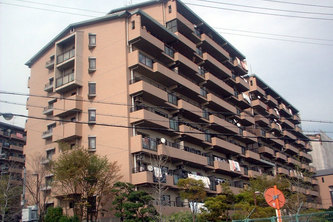 Luminous Minoonomori 2ban-gai