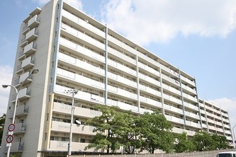 City Court Hattori
