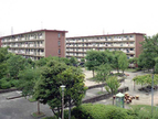 南新田
