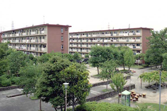 Minami Shinden
