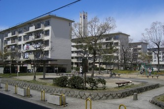 Haruki