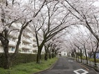 幸手